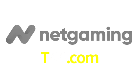 NetGaming